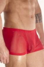 Deluxerie Boxer Da Uomo Charlemagne 2
