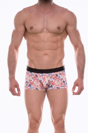 Deluxerie Boxer Da Uomo Coyan 4