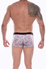 Deluxerie Boxer Da Uomo Coyne 2
